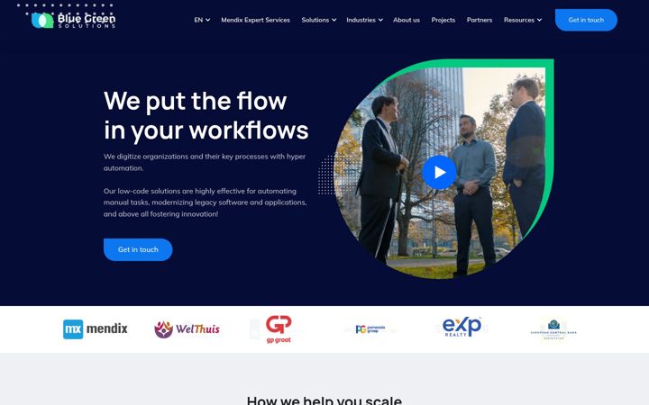 Screenshot of bluegreensolutions.nl
