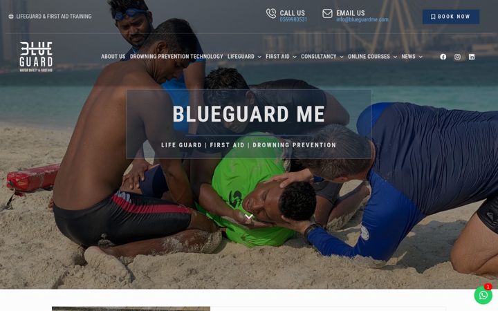 Zrzut ekranu blueguardme.com