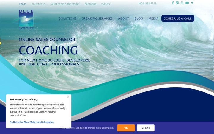 Screenshot of bluegypsyinc.com