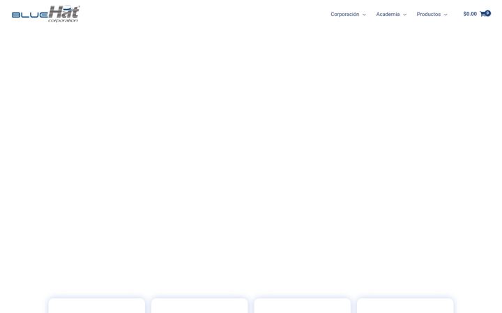 Ekrano kopija bluehatcorp.com