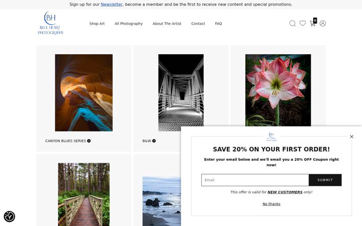 Screenshot of blueheart-photography.com