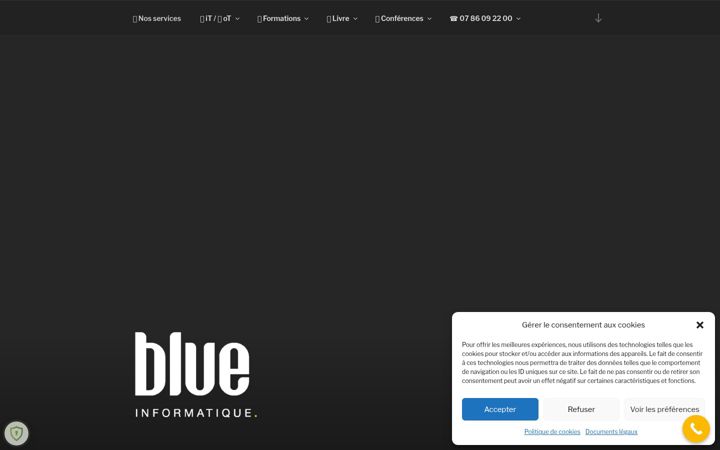 Screenshot von blueinfo.fr