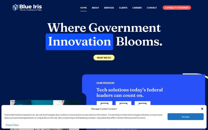 Screenshot von blueiristech.com