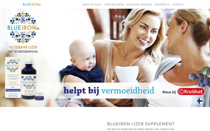 Screenshot of blueiron.nl