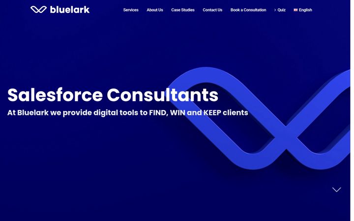 Screenshot of bluelark.digital