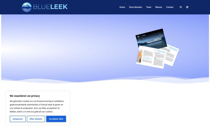 Screenshot of blueleek.nl