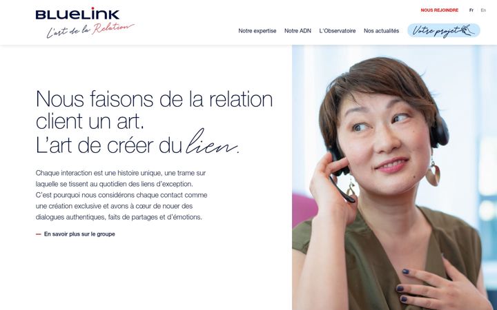 Screenshot of bluelinkservices.com