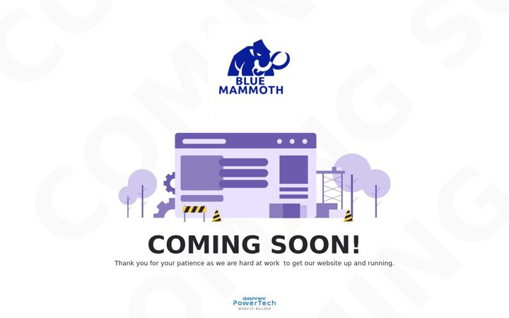 Screenshot of bluemammothhammocks.com