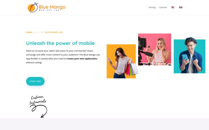 Screenshot of bluemangolab.com