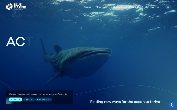 Screenshot of bluemarinefoundation.com