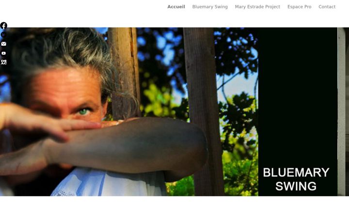 Screenshot of bluemary-swing.com