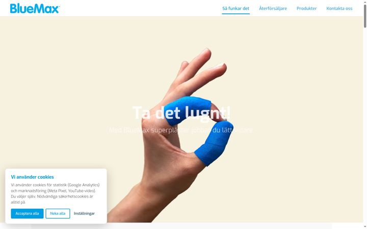 Screenshot of bluemaxplaster.com