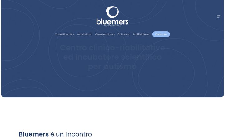 Screenshot of bluemers.it
