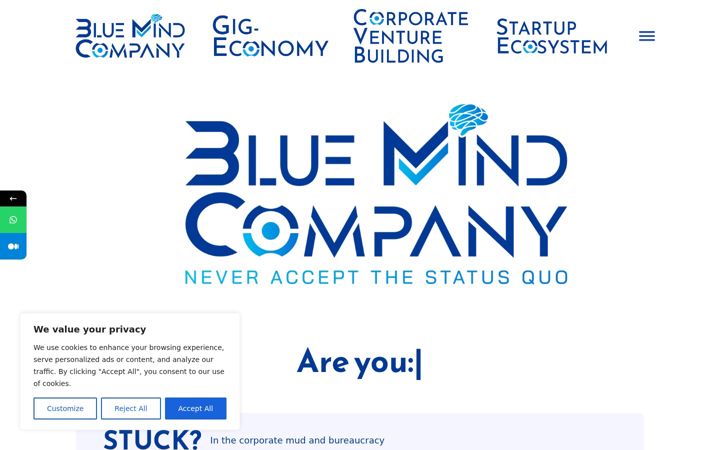 Skærmbillede af bluemindcompany.nl