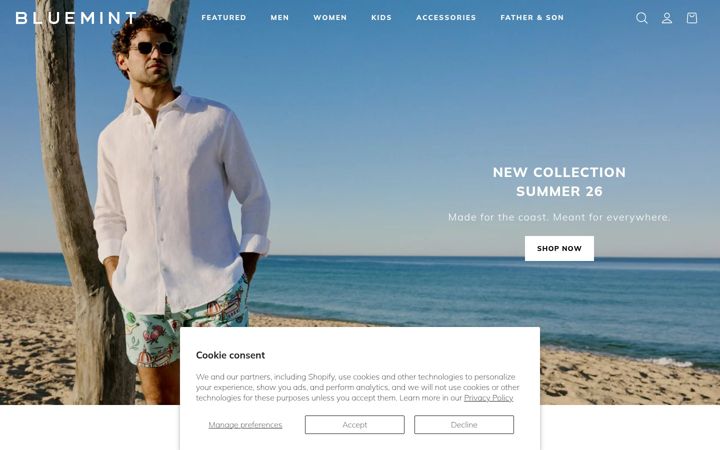 Screenshot of bluemint.com