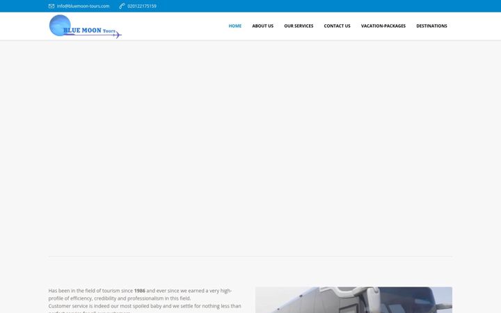 Screenshot of bluemoon-tours.com