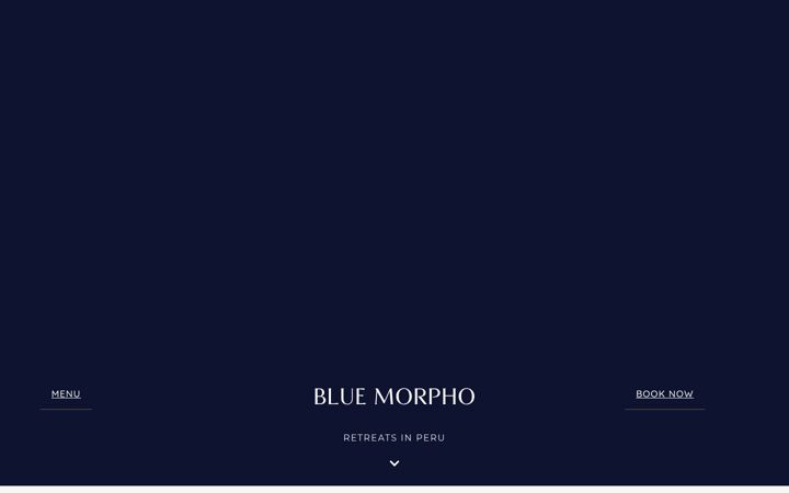 Screenshot of bluemorphoacademy.com