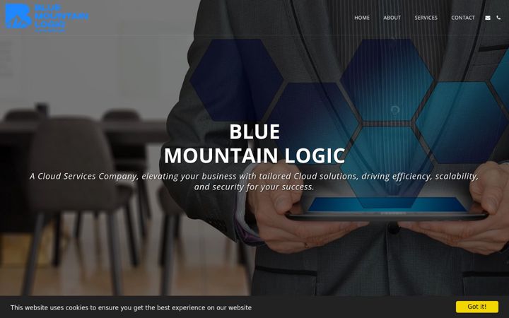 Screenshot of bluemountainlogic.com