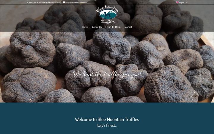 Ekrano kopija bluemountaintruffles.com