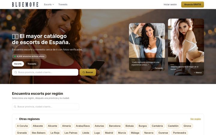 Screenshot of bluemove.es