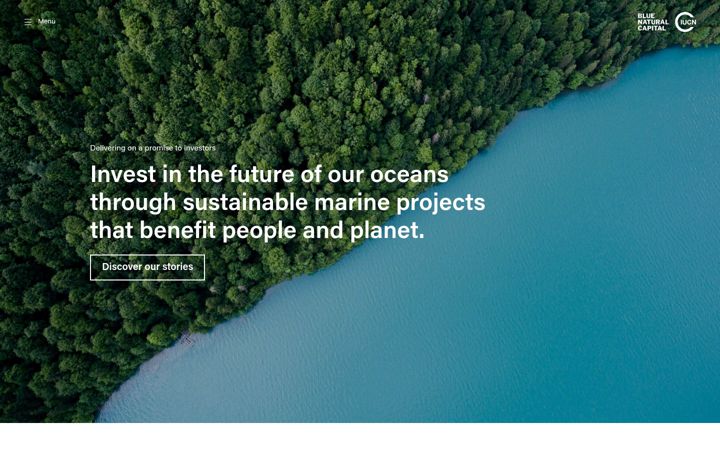 Екранна снимка на bluenaturalcapital.org