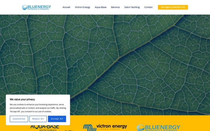 Screenshot of bluenergy.fr