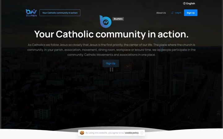 Screenshot of bluenets.io