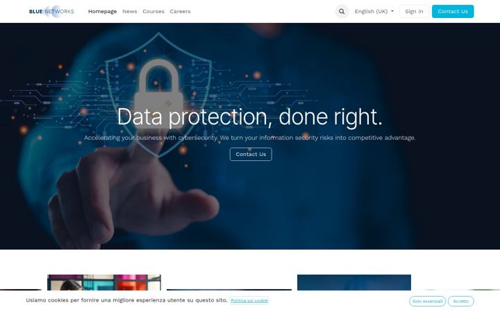 Screenshot of bluenetworks.it