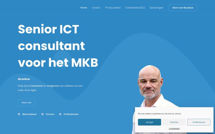 Screenshot of bluenow.nl