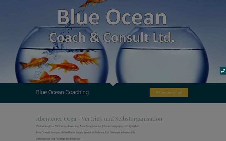 Screenshot of blueocean-consult.com
