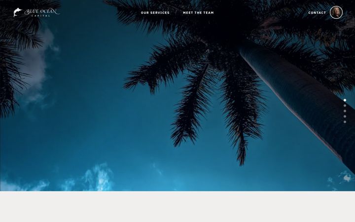 Ekrano kopija blueoceancpa.com
