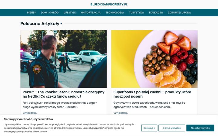 Screenshot of blueoceanproperty.pl