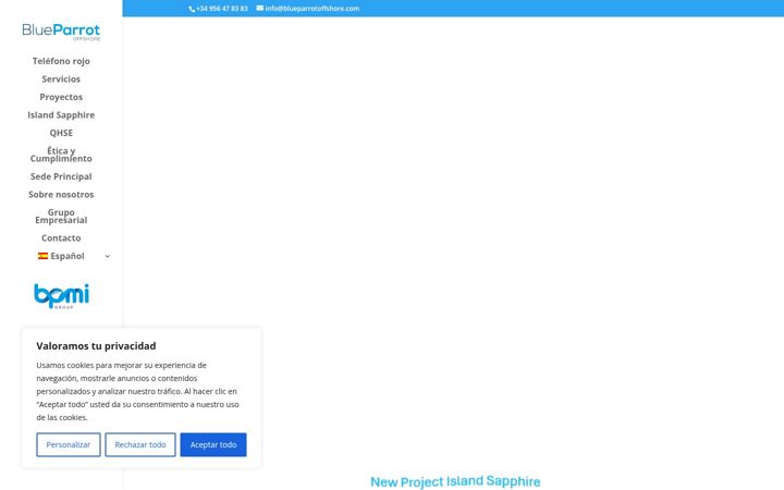 Screenshot of blueparrotoffshore.com