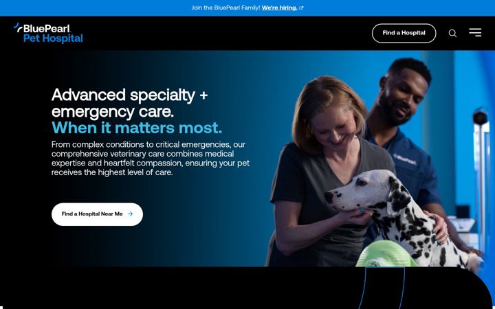 Screenshot of bluepearlvet.com