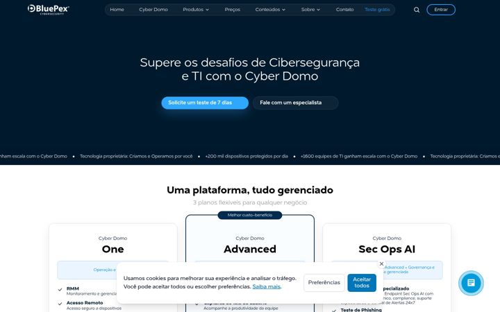 Screenshot of bluepex.com.br