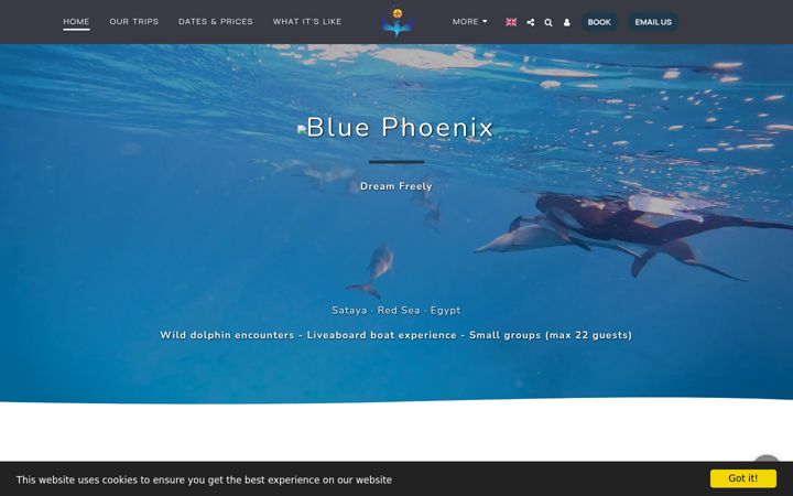 Screenshot of bluephoenixdf.com