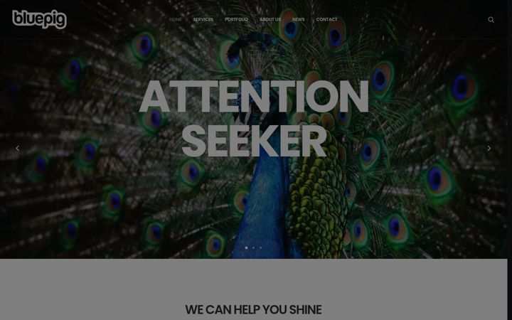 Screenshot of bluepigcreative.co.uk