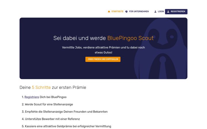 Screenshot of bluepingoo.de