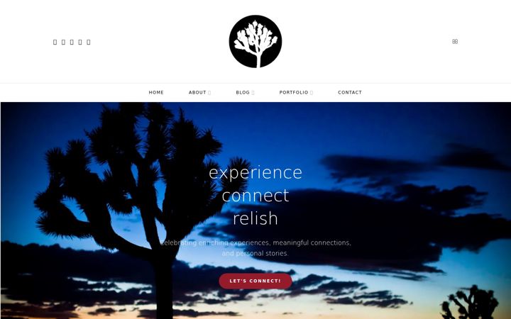 Screenshot of bluepinon.com