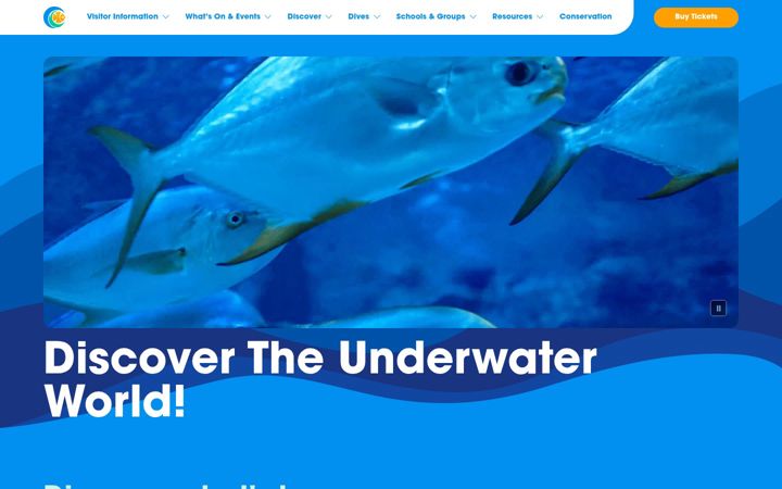 Screenshot of blueplanetaquarium.com