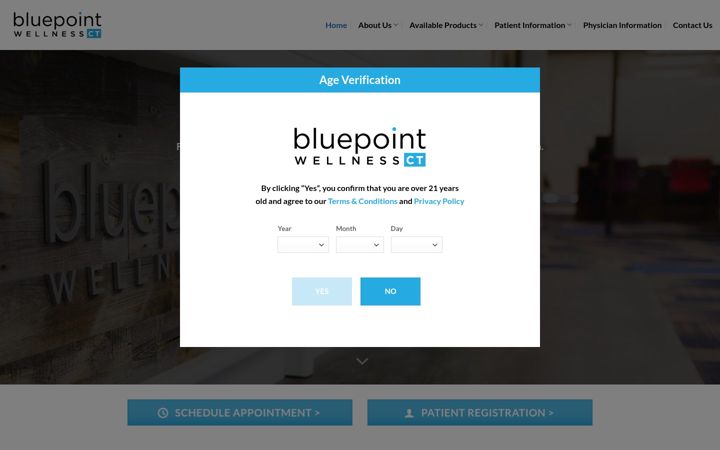Screenshot of bluepointwellnessct.com