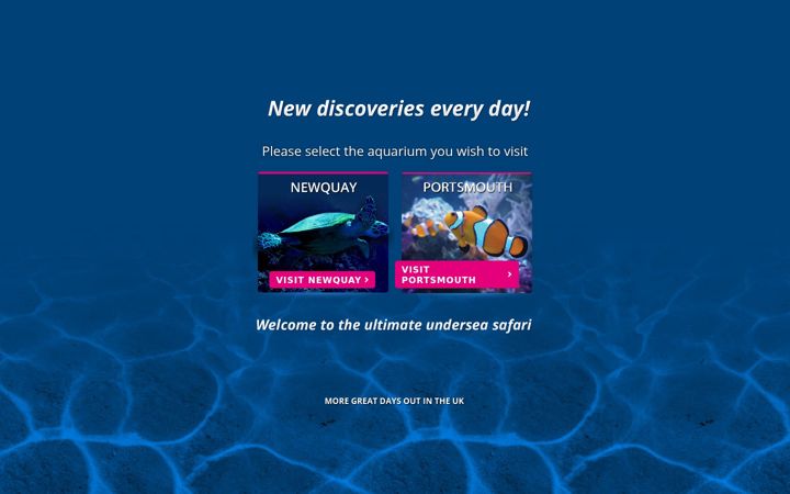Screenshot of bluereefaquarium.co.uk