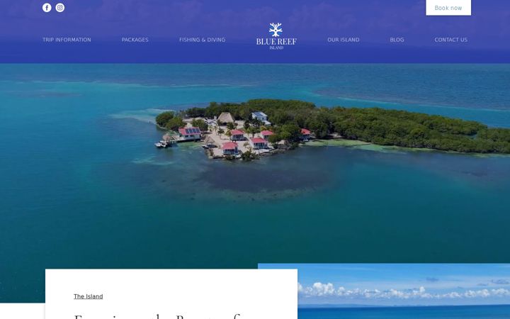 Screenshot of bluereefisland.com