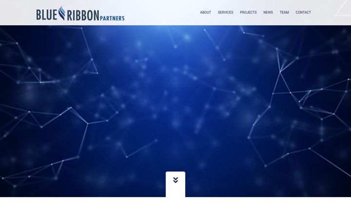 Screenshot of blueribbon.de