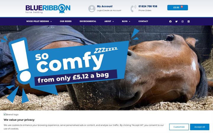 Screenshot of blueribbonhorsebedding.co.uk