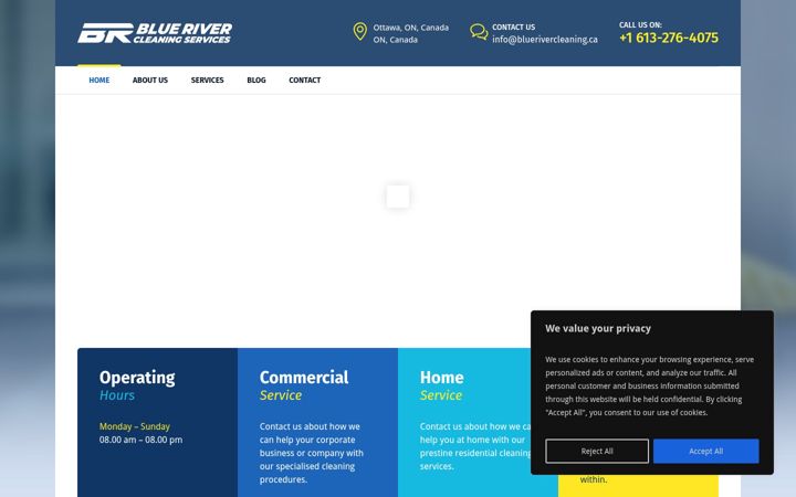 Screenshot of bluerivercleaning.ca