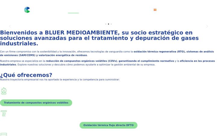 Capture d'écran de bluermedioambiente.com