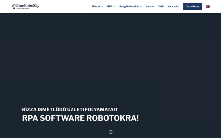 Ekraanipilt saidist bluerobosky.com