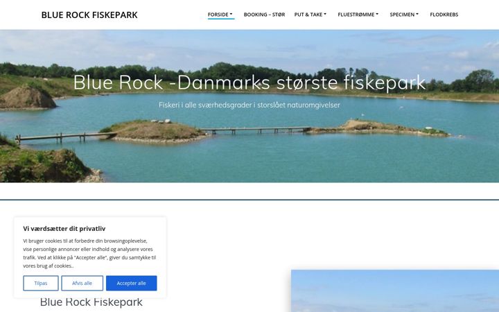Screenshot of bluerock.dk