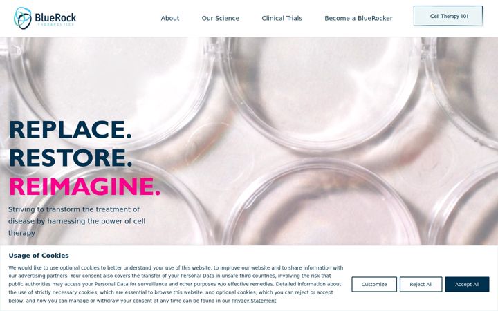 Screenshot of bluerocktx.com